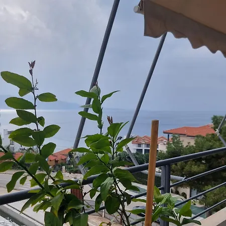 Apartment Amare *